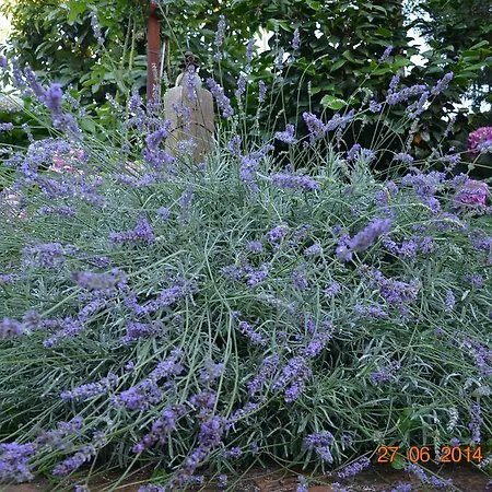 Bed & Breakfast Hermes 4*