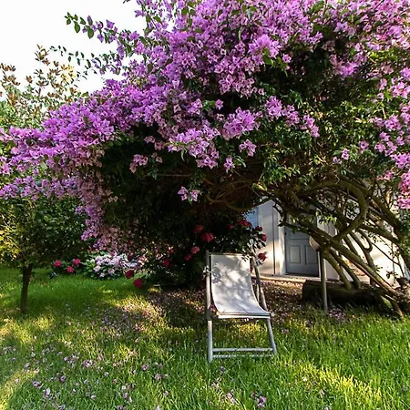 Hermes Bed & Breakfast San Ferdinando