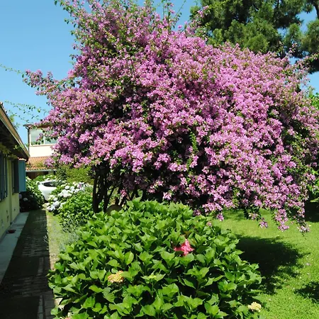 Hermes San Ferdinando