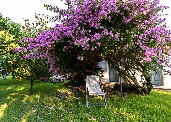 Hermes Oda ve Kahvaltı San Ferdinando